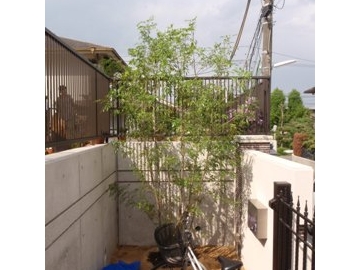 施工前後 020.jpg