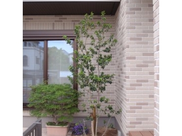 施工前後 019.jpg